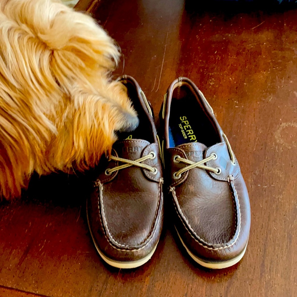 Sperry top-sider boat shoes